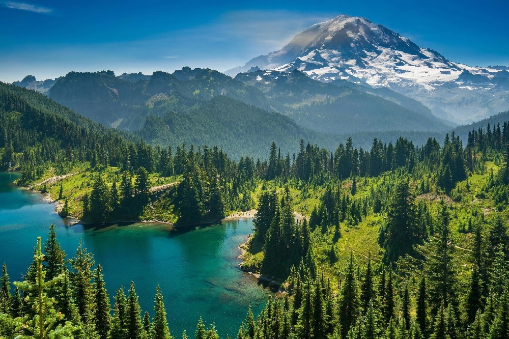 養(yǎng)殖全產(chǎn)業(yè)鏈數(shù)字業(yè)務(wù)體系""